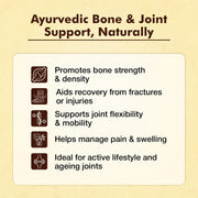 Baidyanath Ayurved Hadjod  60 Tabs