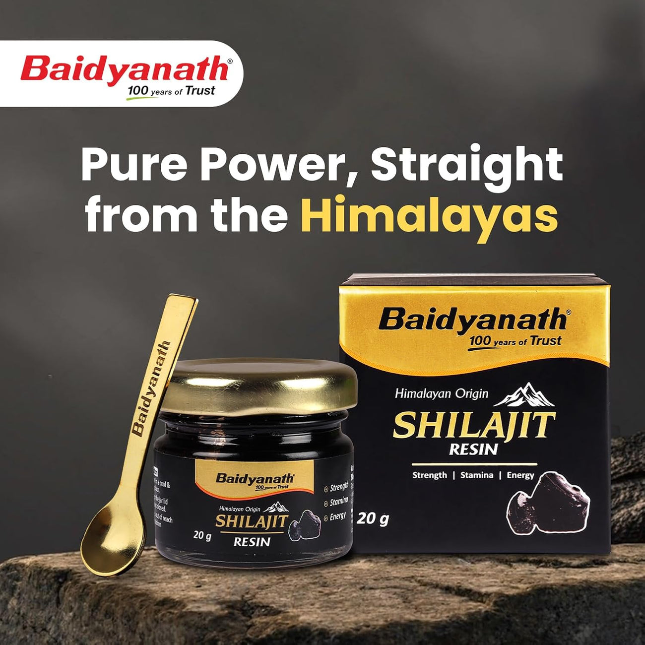 Baidyanath Himalayan Shilajit Resin