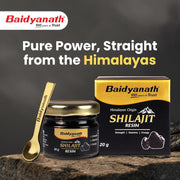 Baidyanath Himalayan Shilajit Resin