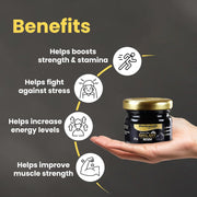 Baidyanath Himalayan Shilajit Resin