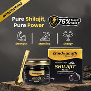 Baidyanath Himalayan Shilajit Resin