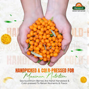 Biosash Himalayan Sea Buckthorn Pulp Concentrate 750ml