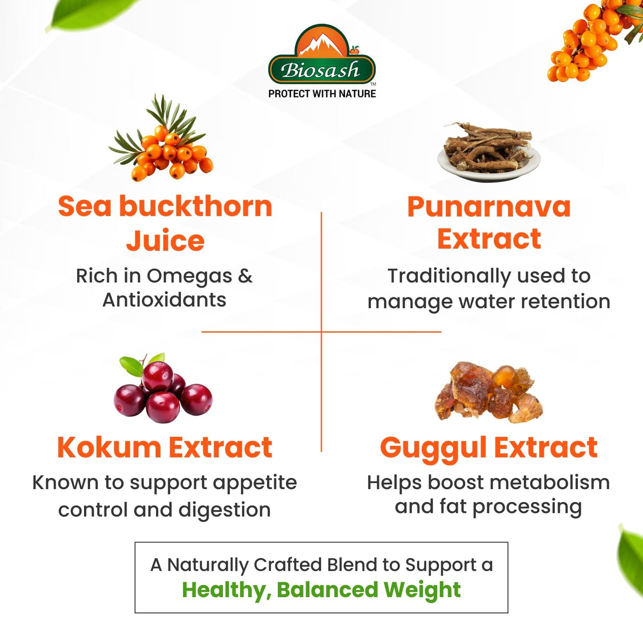 Biosash Sea Buckthorn TRIMFIT Juice 750ml
