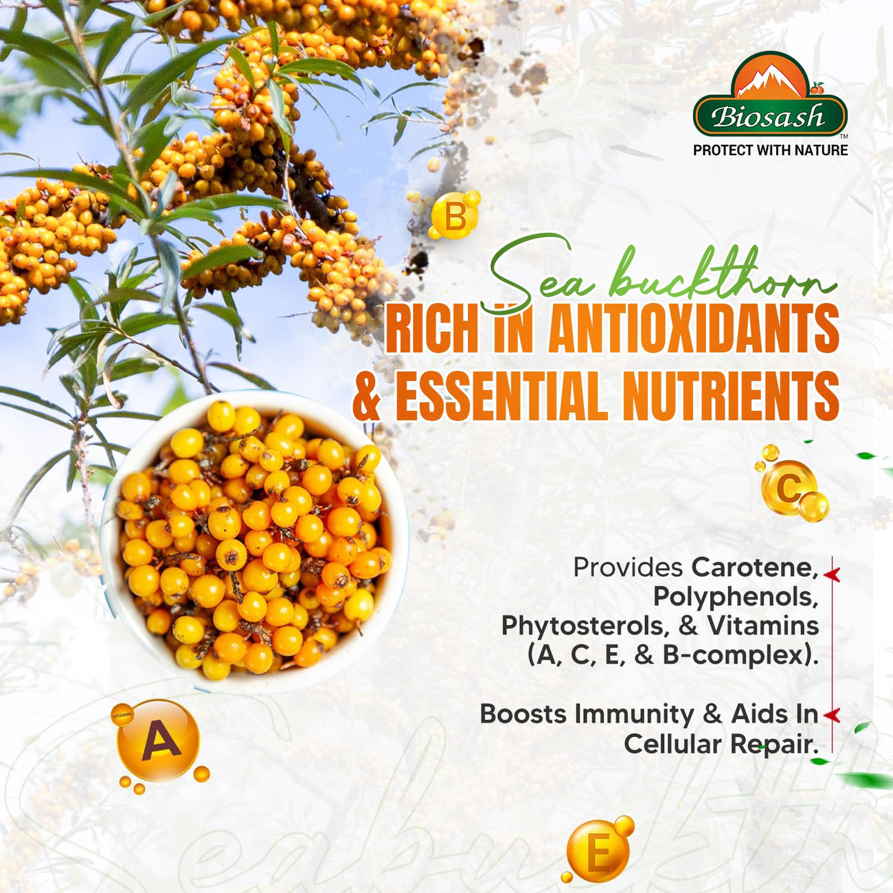 Biosash Sea Buckthorn TRIMFIT Juice 750ml