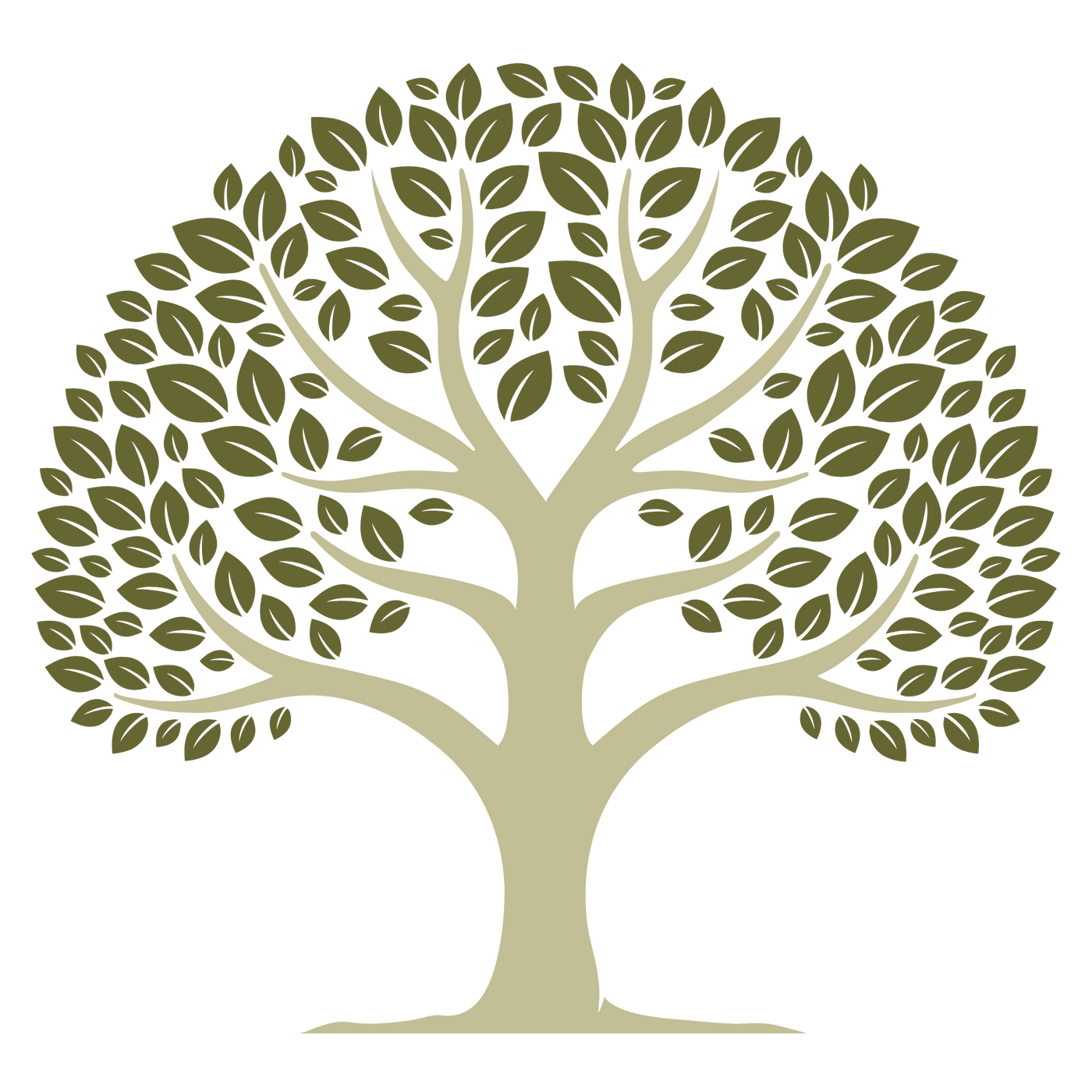 Buy Herb India royal botanical tree drawing
