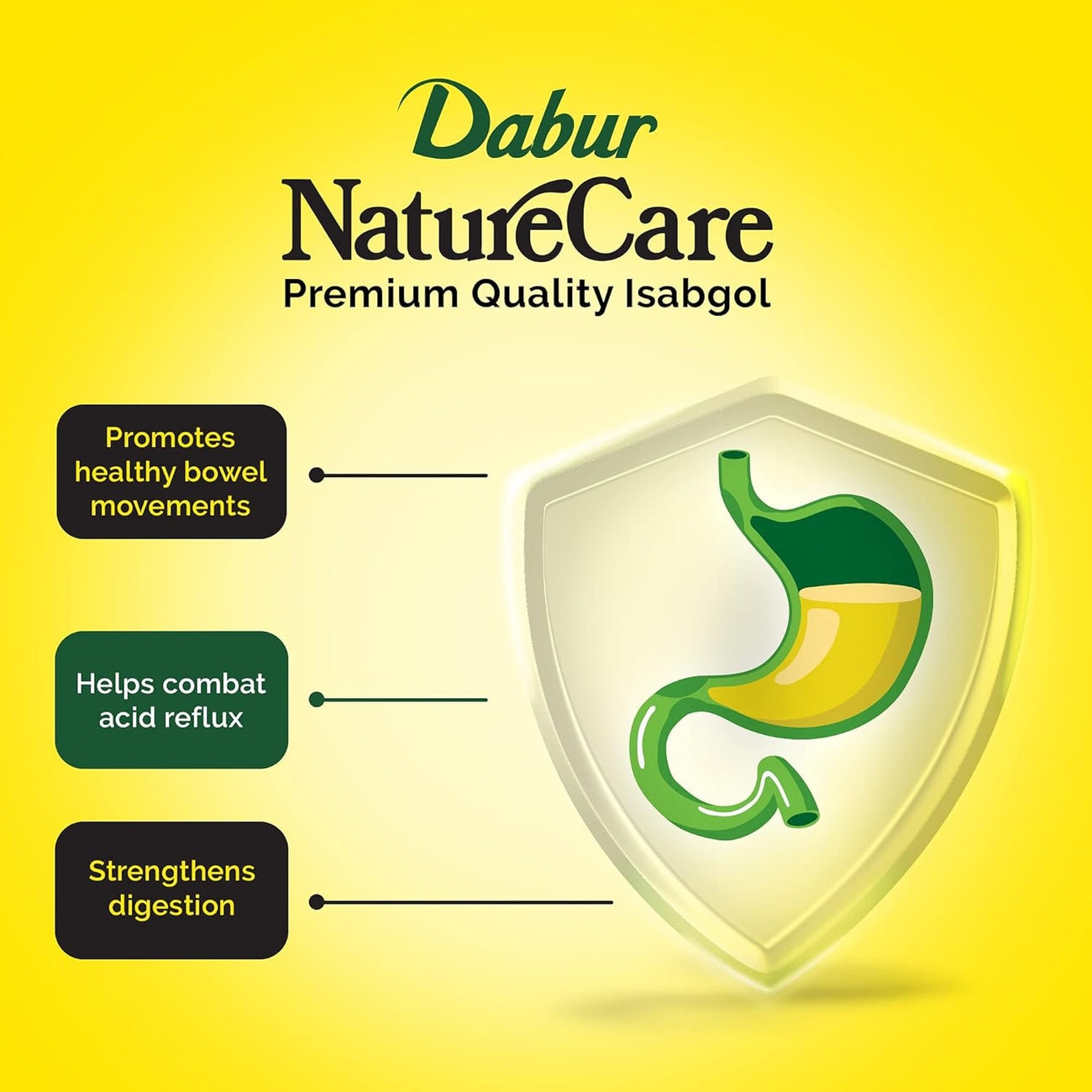 Dabur Nature Care Isabgol Provides Effective Relief from Constipation 375gm
