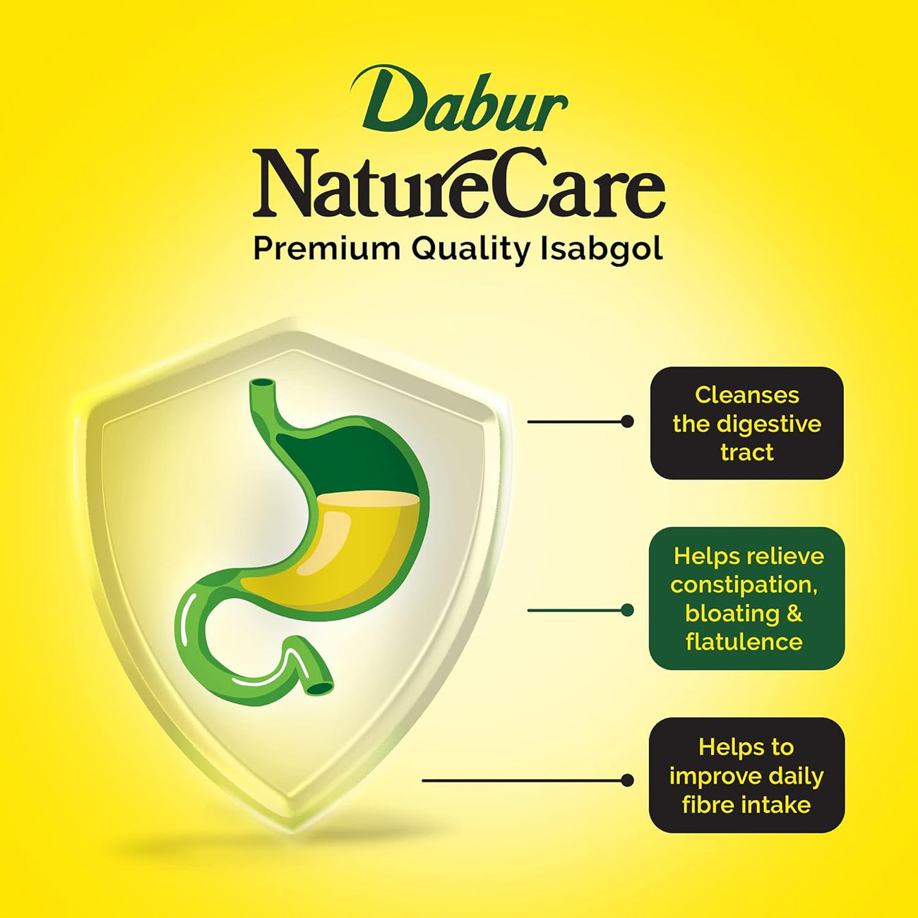 Dabur Nature Care Isabgol Provides Effective Relief from Constipation 375gm