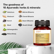 Jiva Gold Shilajit Capsules