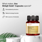 Jiva Gold Shilajit Capsules