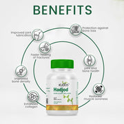 Kudos Ayurveda Hadjod 60 tablets