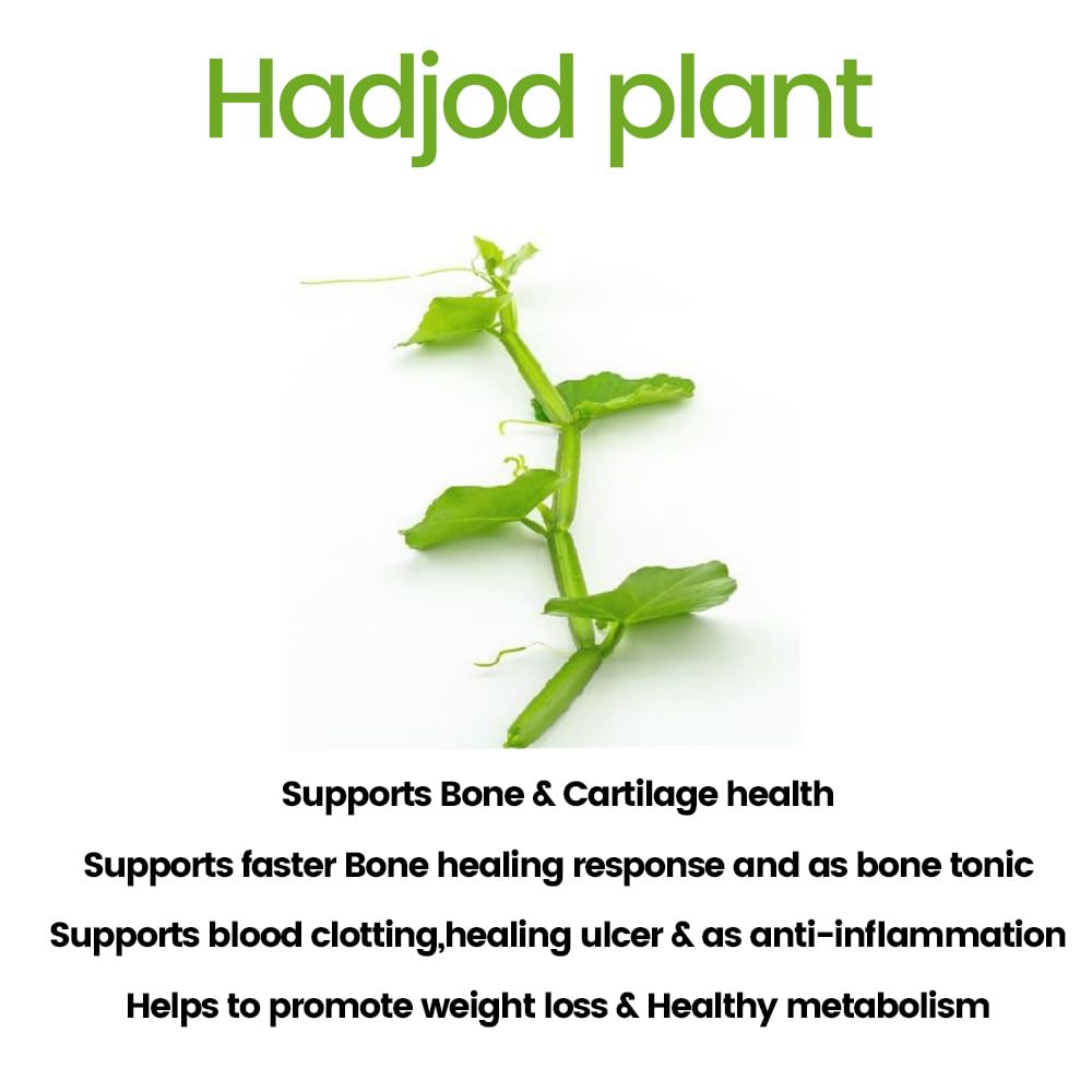 Kudos Ayurveda Hadjod 60 tablets