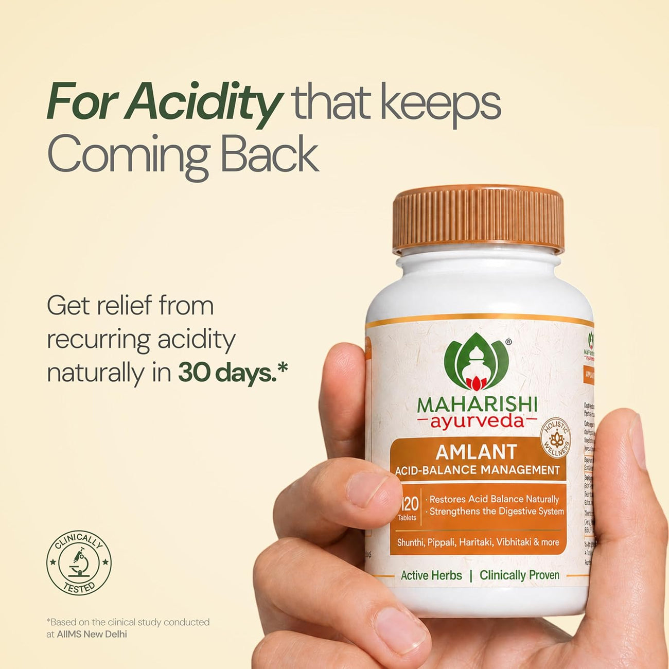 Maharishi Ayurveda Amlant 120 Tablets