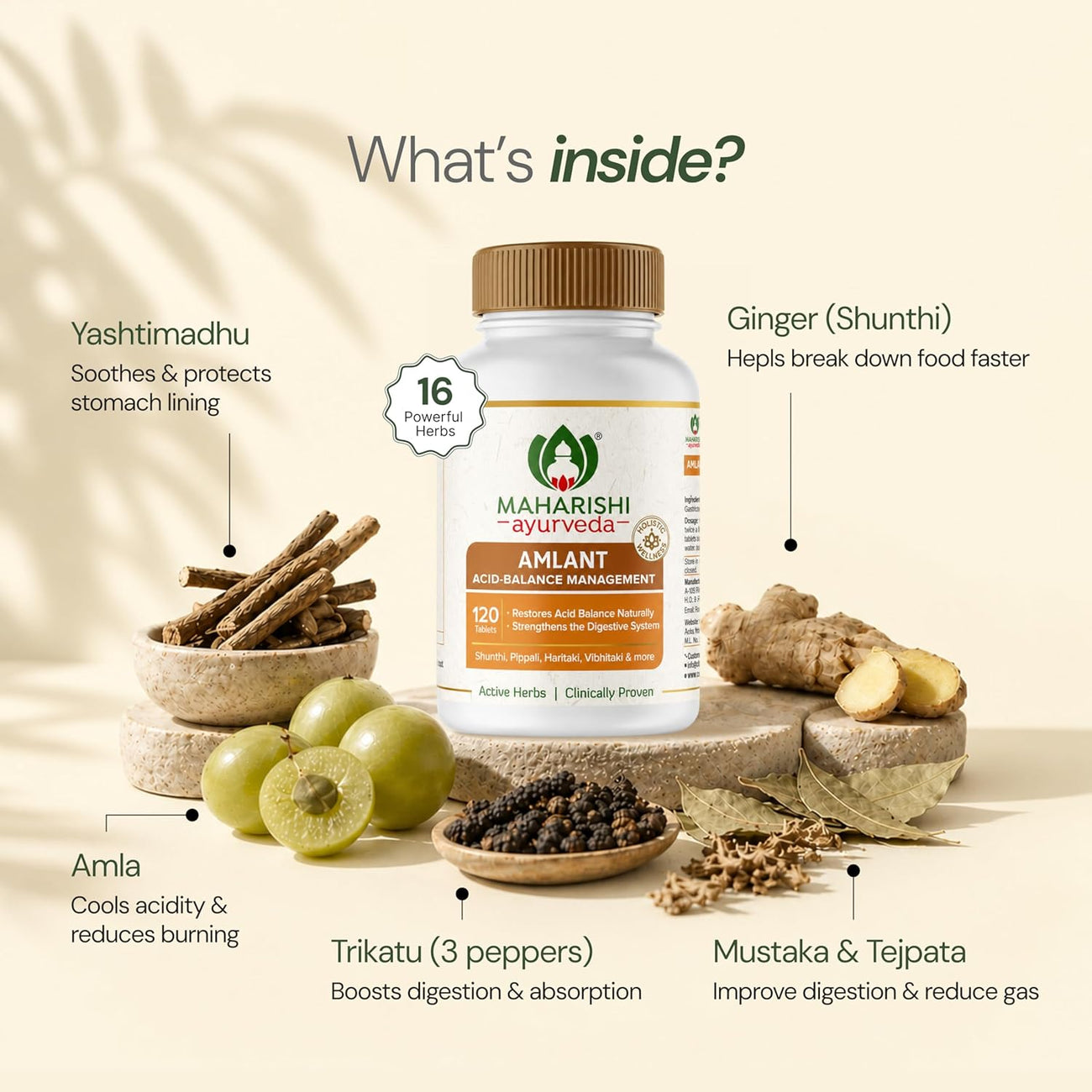 Maharishi Ayurveda Amlant 120 Tablets