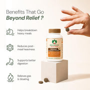 Maharishi Ayurveda Digestion Tablets Dizomap 120 Tablets