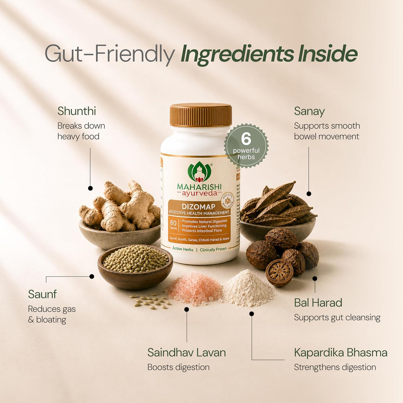 Maharishi Ayurveda Digestion Tablets Dizomap 120 Tablets