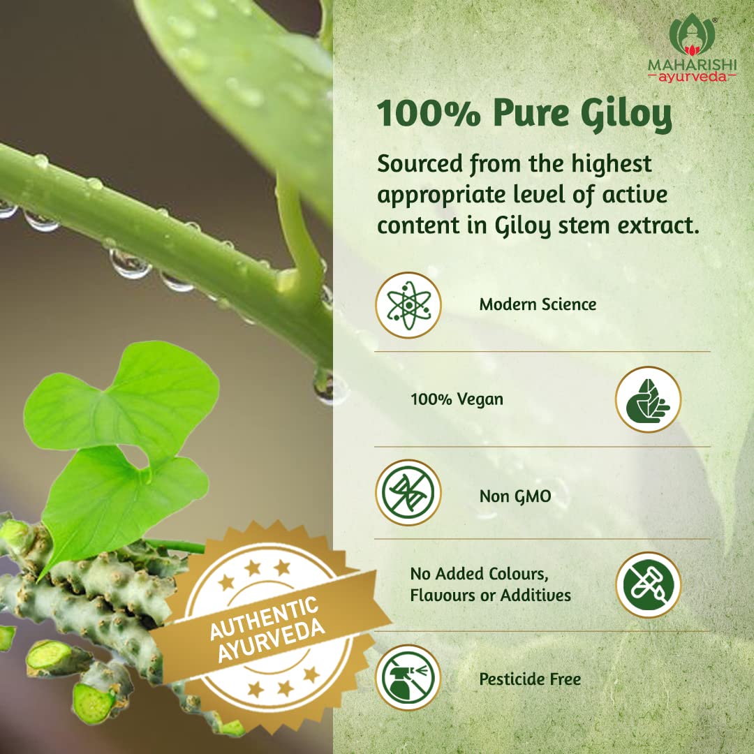 Maharishi Ayurveda Giloy Ghan Vati 60 Tablets