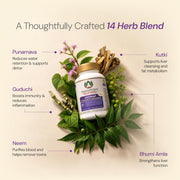 Maharishi Ayurveda Livomap 120 Tablets