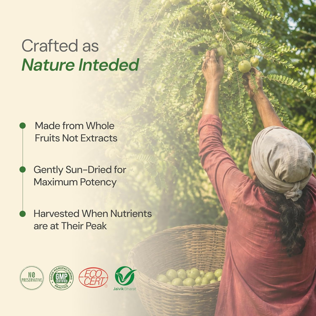 Maharishi Ayurveda Organic Triphala Tablets 1000mg 60 Tablets