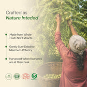 Maharishi Ayurveda Organic Triphala Tablets 1000mg 60 Tablets