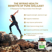 Maharishi Ayurveda Shilajeet Rasayana 500 MG 60 Tablets