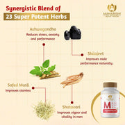Maharishi Ayurveda Shilajit 60 Tablets