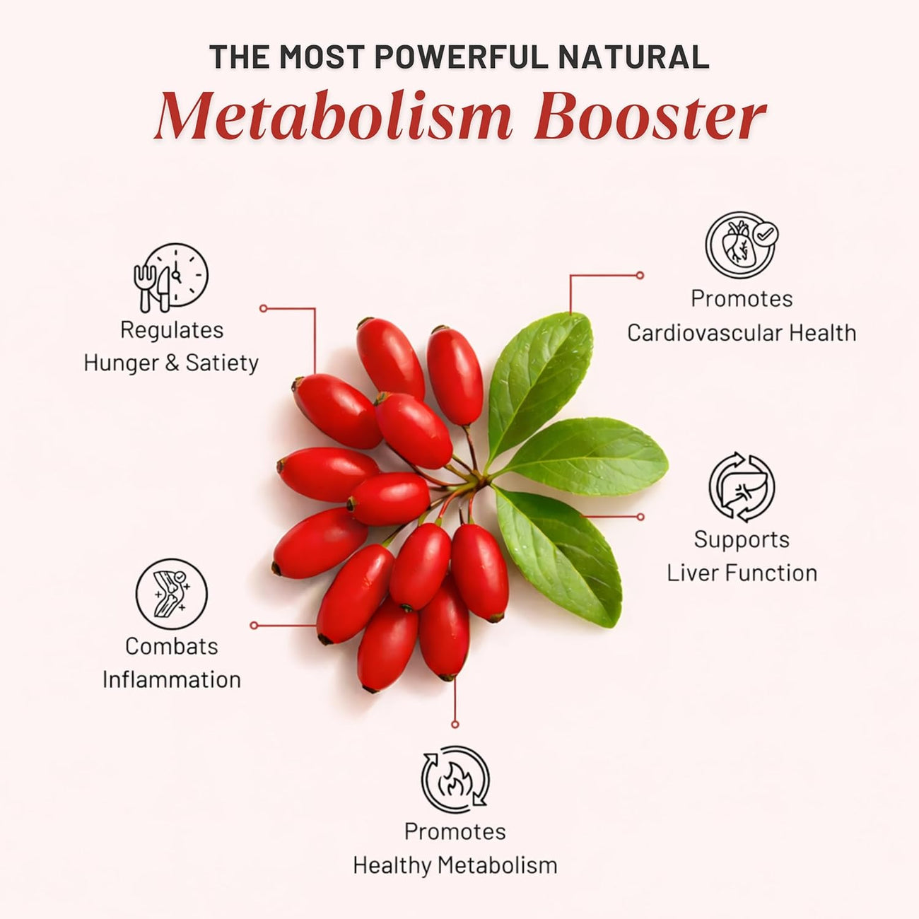 Nutrabud Berberine 500mg with Milk Thistle Supplement - Berberis Aristata Berberine HCL 97% - 60 Veg Capsules