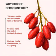 Nutrabud Berberine 500mg with Milk Thistle Supplement - Berberis Aristata Berberine HCL 97% - 60 Veg Capsules