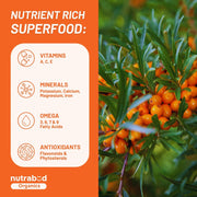 Nutrabud Organics Himalayan Sea Buckthorn Berry Juice 500 ml