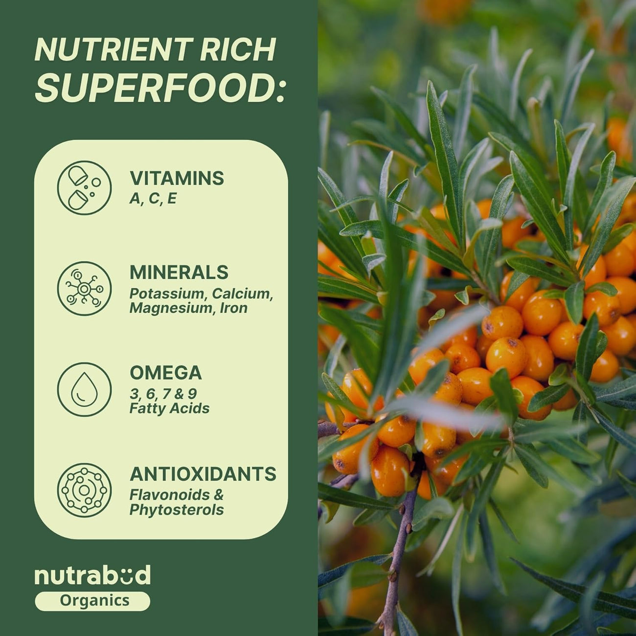 Nutrabud Sea Buckthorn Berry Powder 100 grams