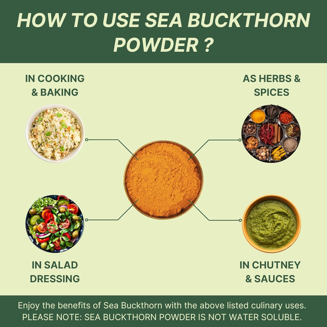 Nutrabud Sea Buckthorn Berry Powder 100 grams