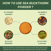 Nutrabud Sea Buckthorn Berry Powder 100 grams