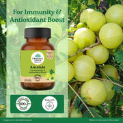Organic India Amalaki 60cap