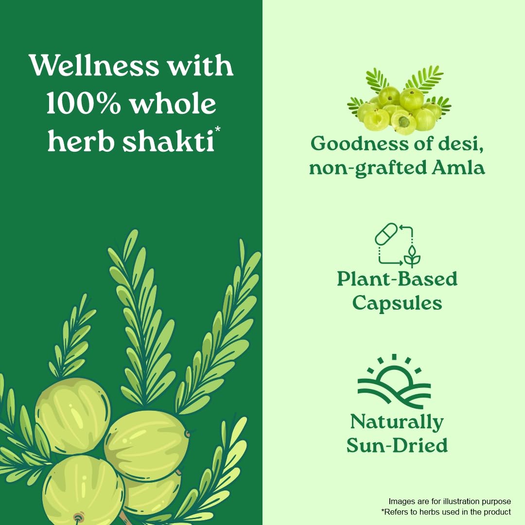 Organic India Amalaki 60cap
