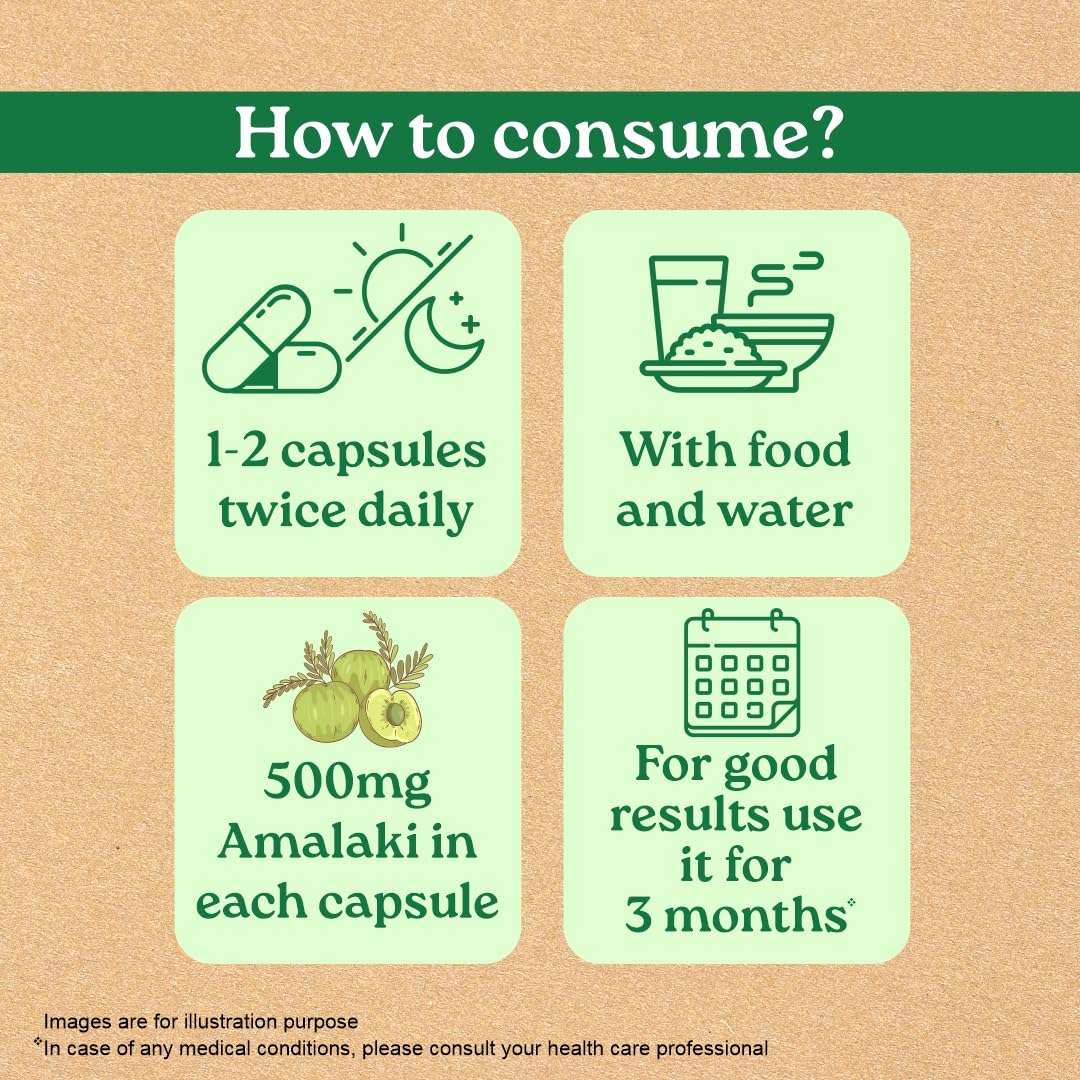 Organic India Amalaki 60cap
