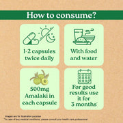 Organic India Amalaki 60cap