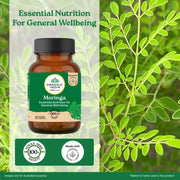 Organic India Moringa 60cap