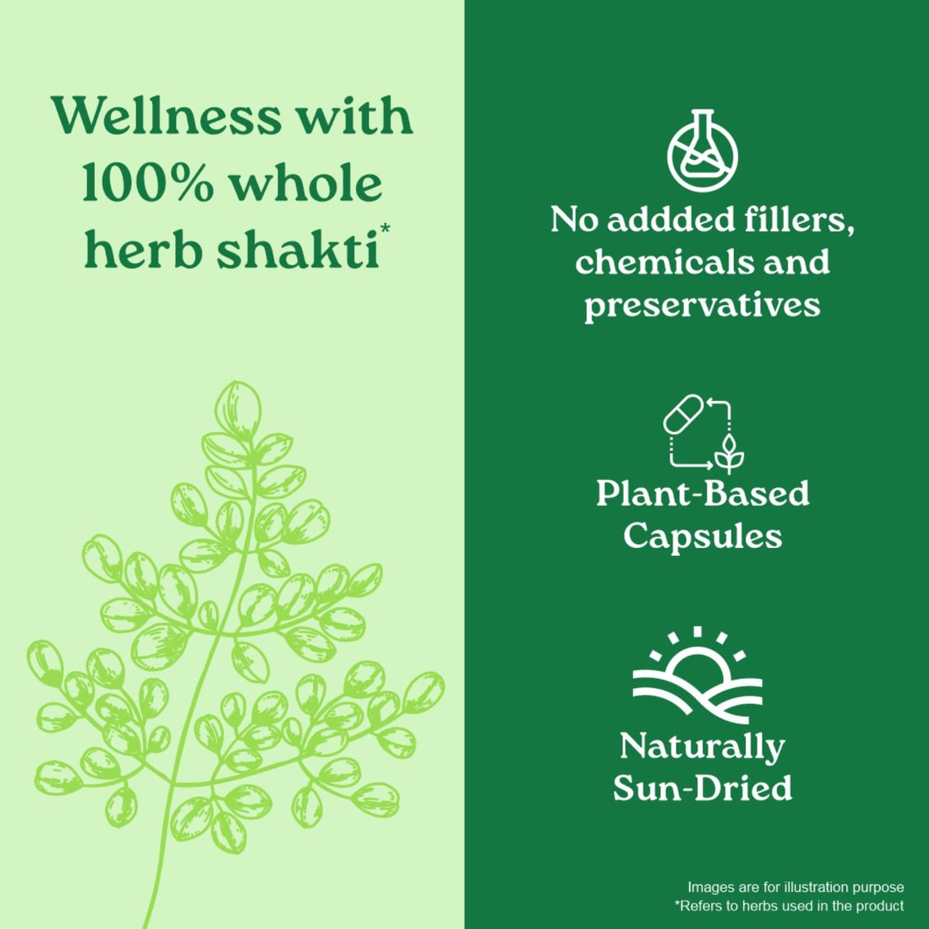Organic India Moringa 60cap