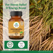 Organic India Pure Ashwagandha Root 60cap