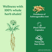 Organic India Pure Ashwagandha Root 60cap