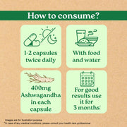 Organic India Pure Ashwagandha Root 60cap