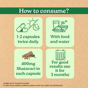 Organic India Shatavari 60cap