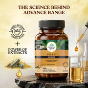 Organic India Shilajit Advance 60cap