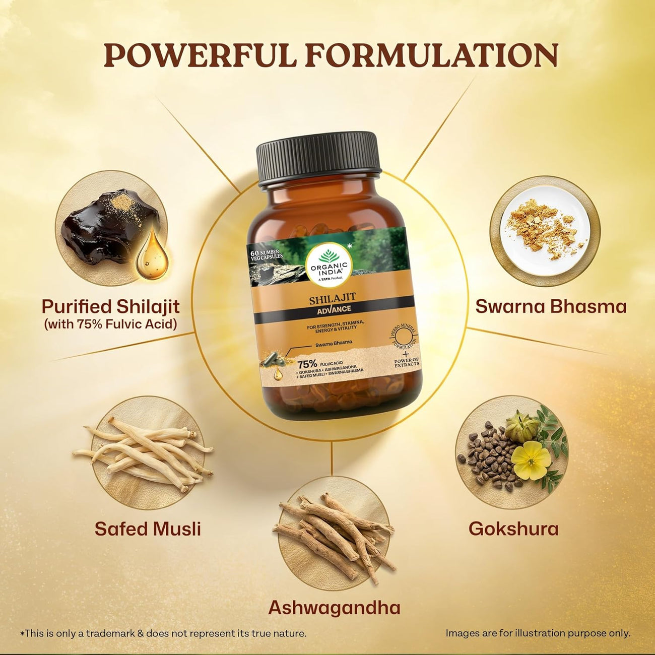 Organic India Shilajit Advance 60cap