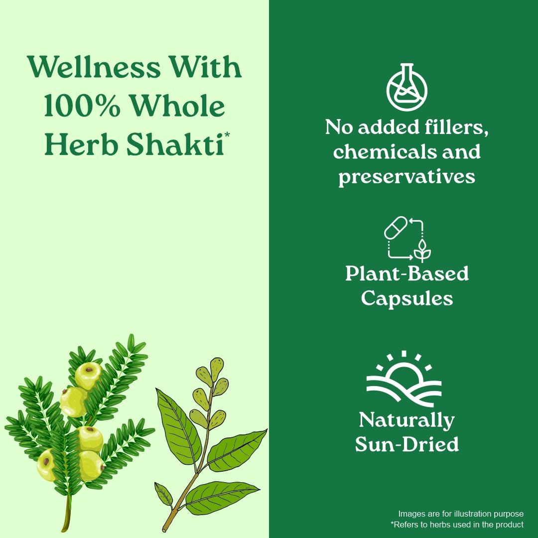 Organic India Triphala 60Cap