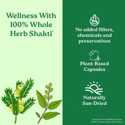 Organic India Triphala 60Cap