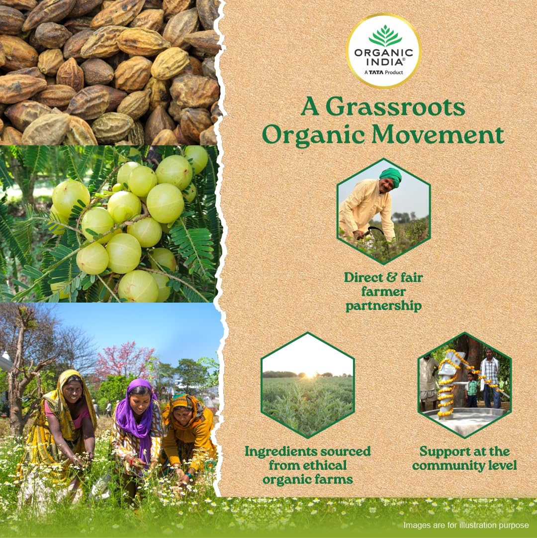 Organic India Triphala 60Cap