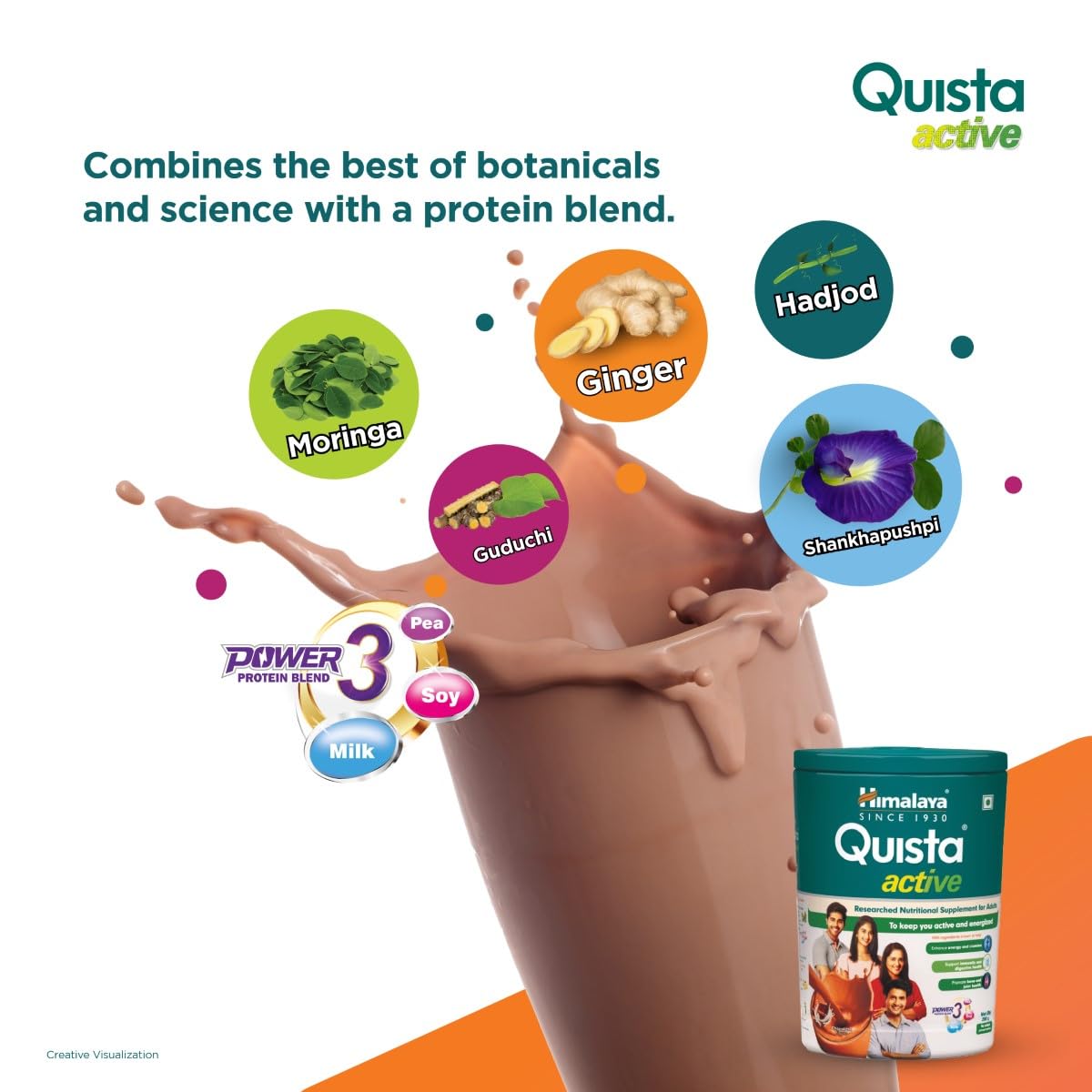 Quista Active Chocolate Flavour - Himalaya