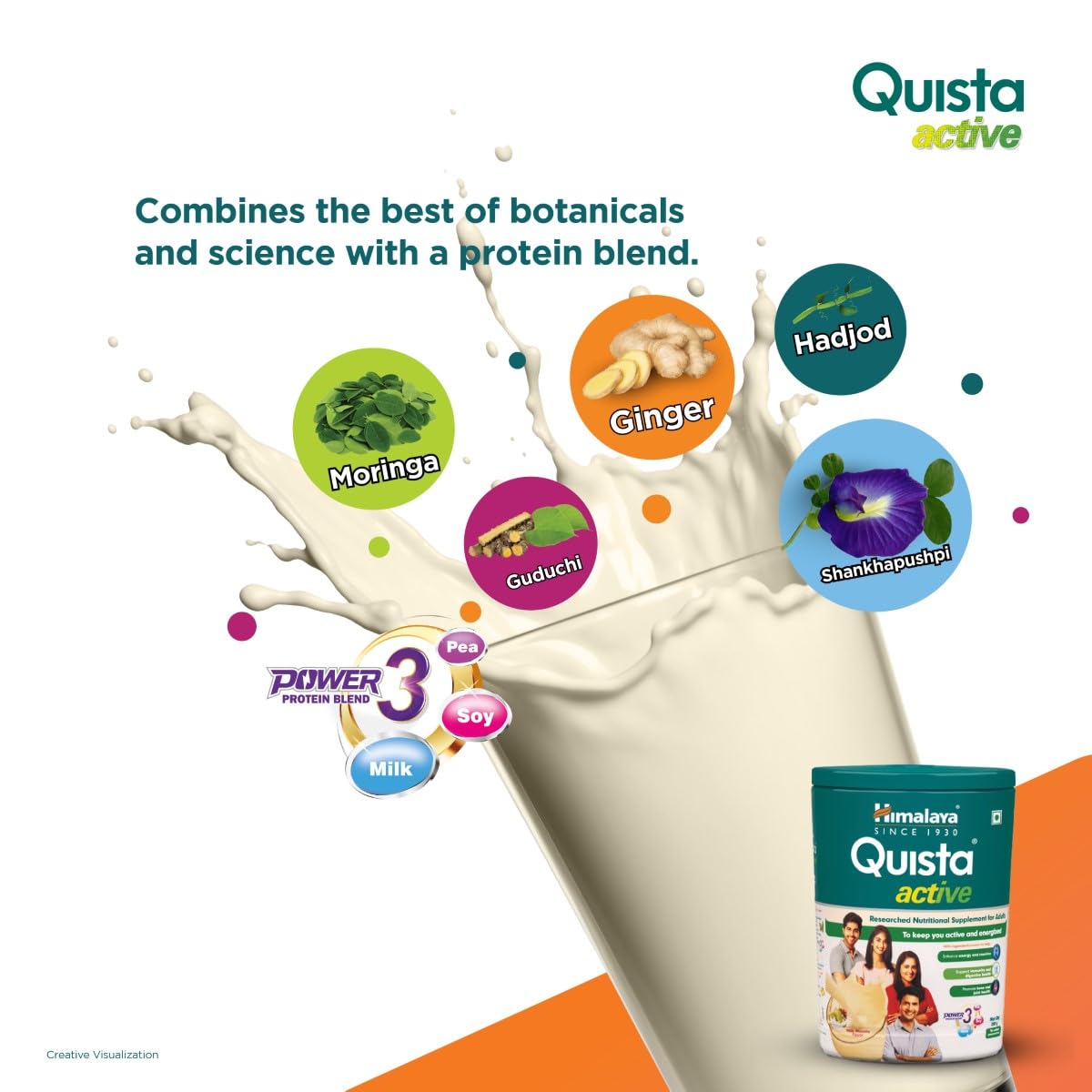 Quista Active Milk Masala - Himalaya