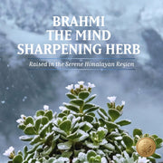 TruSoul Brahmi Capsules