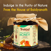 TruSoul Raw Organic Honey - 500gm